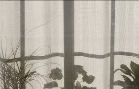 Schattenspiel am Vorhang